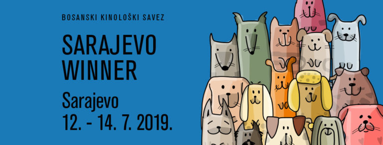 Sarajevo Winner 2019.