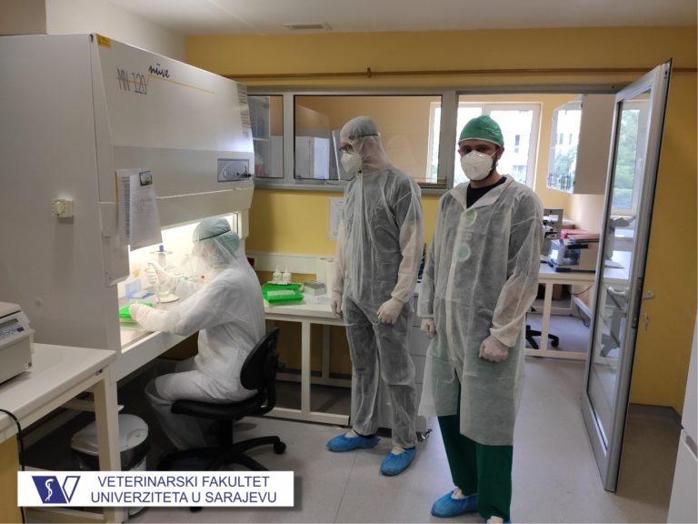 Naučnoistraživački tim Veterinarskog fakulteta Univerziteta u Sarajevu u saradnji sa ANUBiH izolirao „BiH“ soj COVID-19 virusa