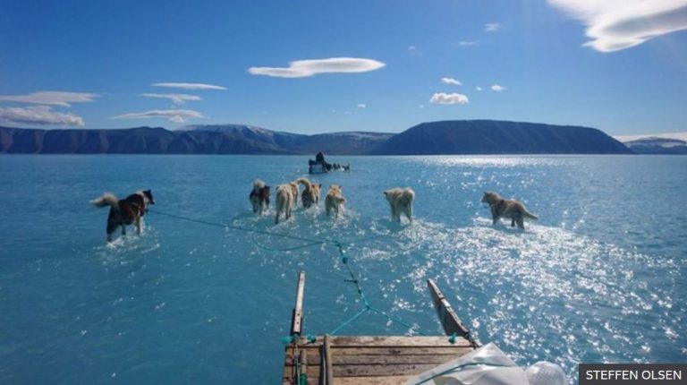 WMO potvrdila da je izmjerena temparatura od -69,9 °C na Grenlandu rekord za sjevernu hemisferu