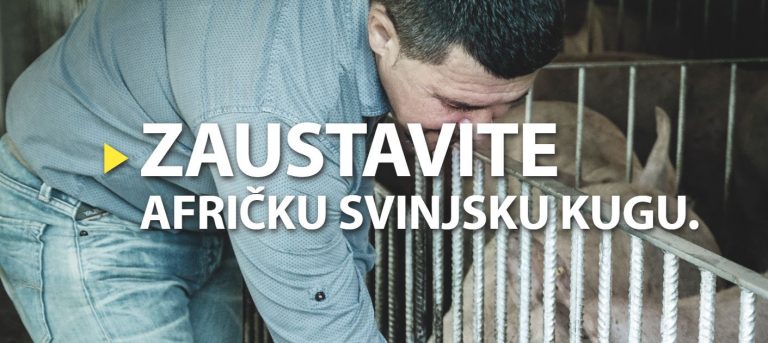 Zaustavite Afričku svinjsku kugu