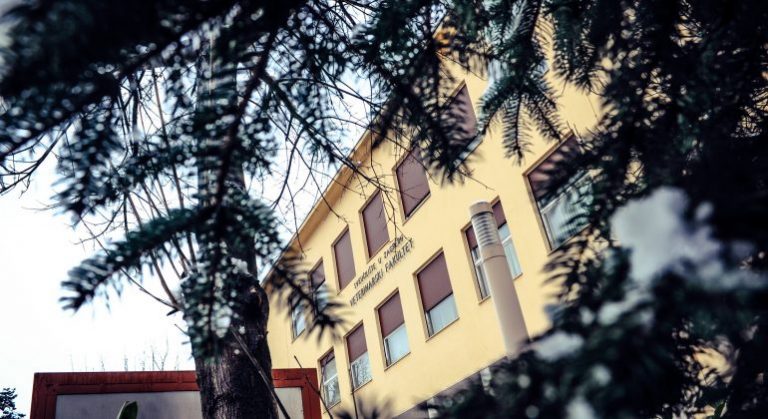 Veterinarski fakultet u Zagrebu pruža pomoć životinjama iz područja pogođenih potresima