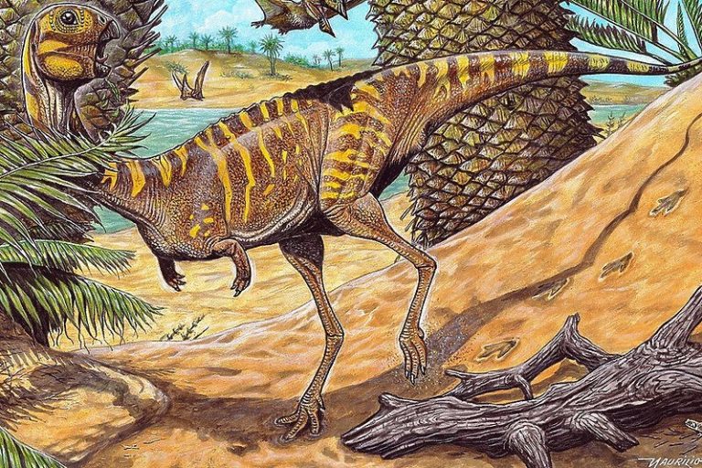 Ostaci vrlo rijetke vrste dinosaura otkriveni u Brazilu