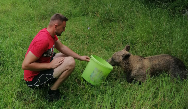 Medvjedica spašena iz nevolje u jajačkom naselju Kruščica